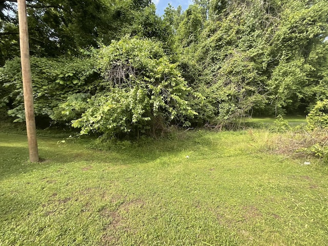 180 Barbee Ave, Ripley, TN 38063 - view of green lawn