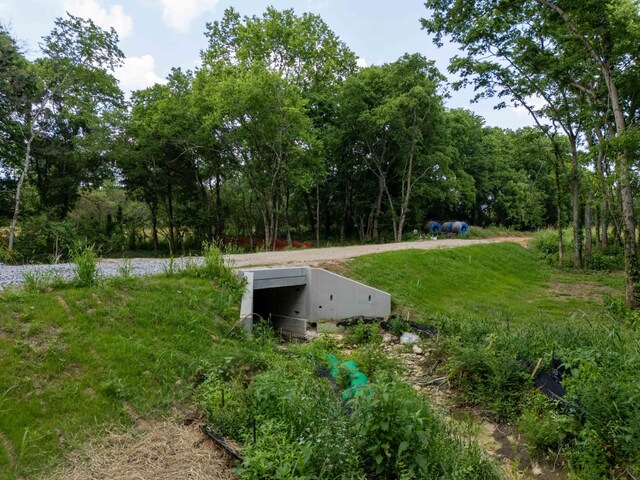 1755 Hudson Rd, Madison, TN 37115 - photo 9