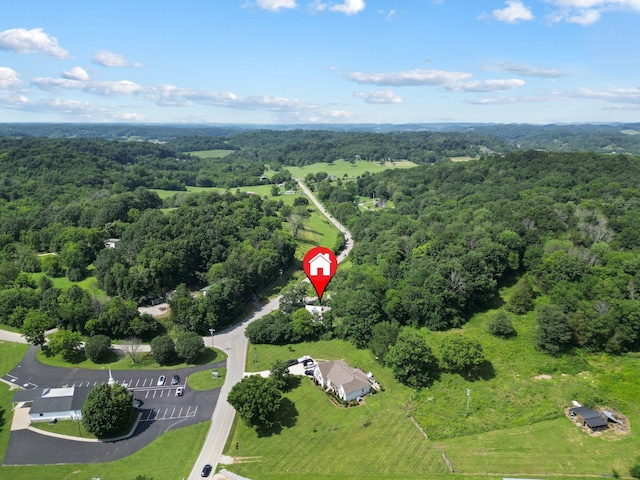 1854 Popes Chapel Rd, Thompsons Station, TN 37179 - photo 6