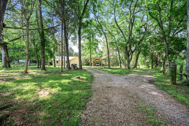 472 Shirley Rd, Smyrna, TN 37167 - view of dirt / gravel road