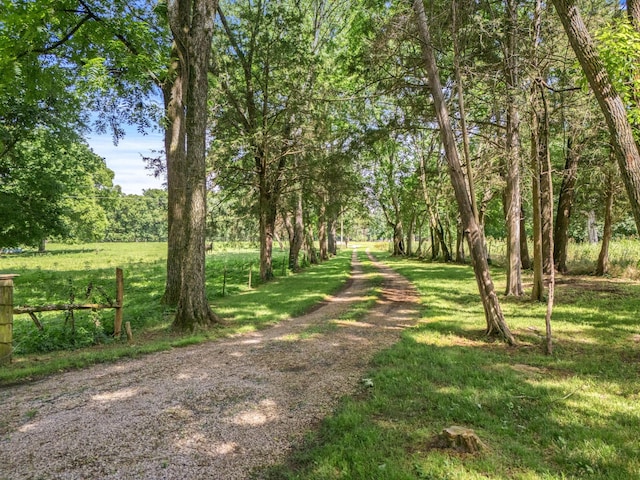 472 Shirley Rd, Smyrna, TN 37167 - view of grassy yard