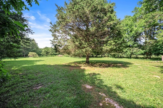 472 Shirley Rd, Smyrna, TN 37167 - view of grassy yard