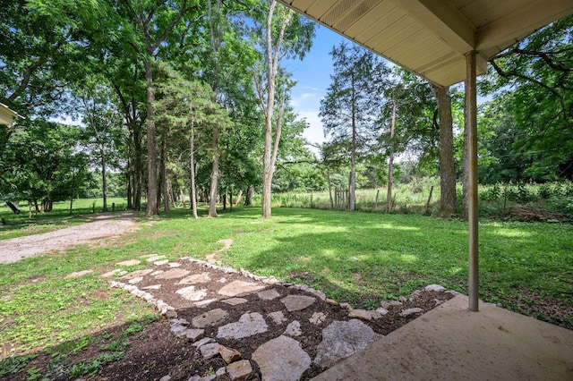 472 Shirley Rd, Smyrna, TN 37167 - view of grassy yard with view of wooded area and a patio area