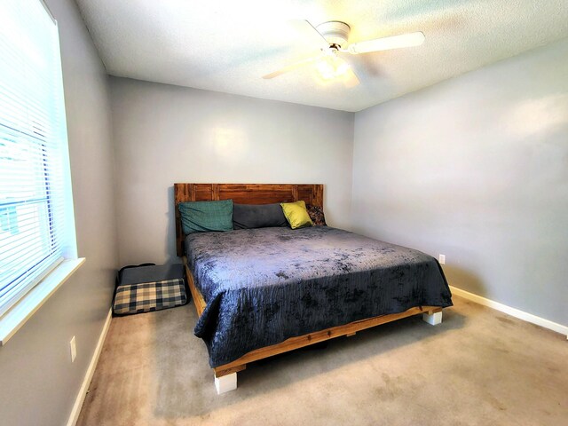 3400 Ben Alder Ln, Knoxville, TN 37931 - photo 8
