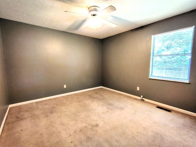 3400 Ben Alder Ln, Knoxville, TN 37931 - photo 9