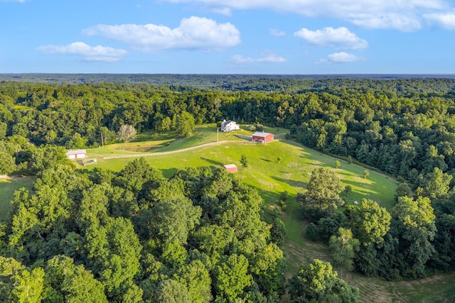 3275 York Landing Rd, Woodlawn, TN 37191 - photo 3