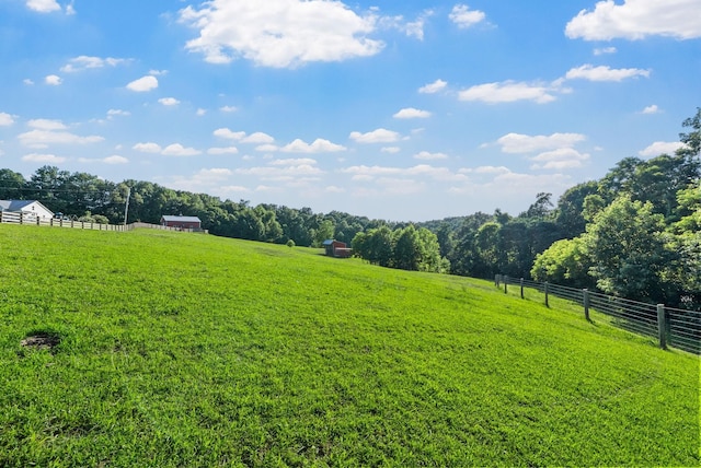 3275 York Landing Rd, Woodlawn, TN 37191 - photo 24