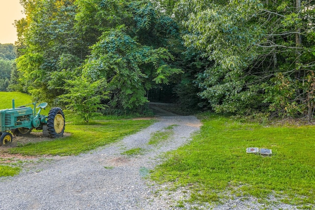 3275 York Landing Rd, Woodlawn, TN 37191 - photo 51