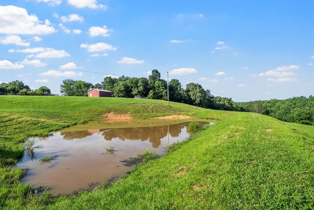 3275 York Landing Rd, Woodlawn, TN 37191 - photo 32