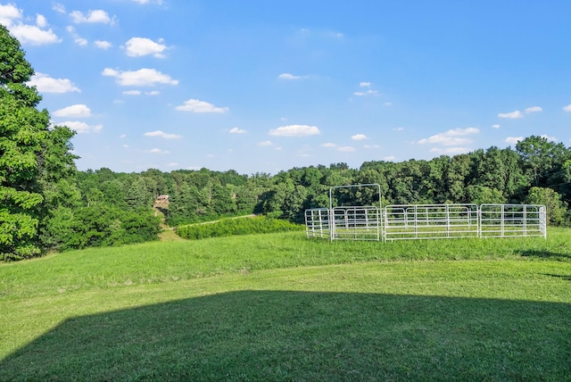 3275 York Landing Rd, Woodlawn, TN 37191 - photo 28