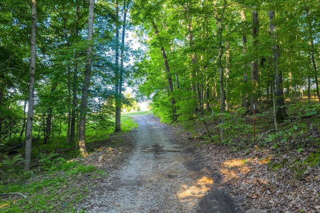 3275 York Landing Rd, Woodlawn, TN 37191 - photo 4