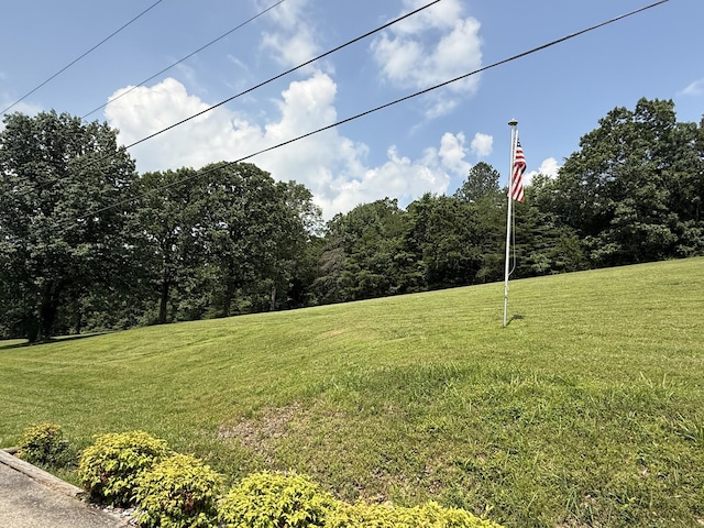 371 Lumina Ln, Dunlap, TN 37327 - photo 45
