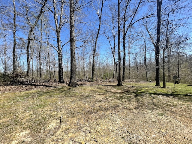 0 Betty Belle, Bon Aqua, TN 37025 - photo 34