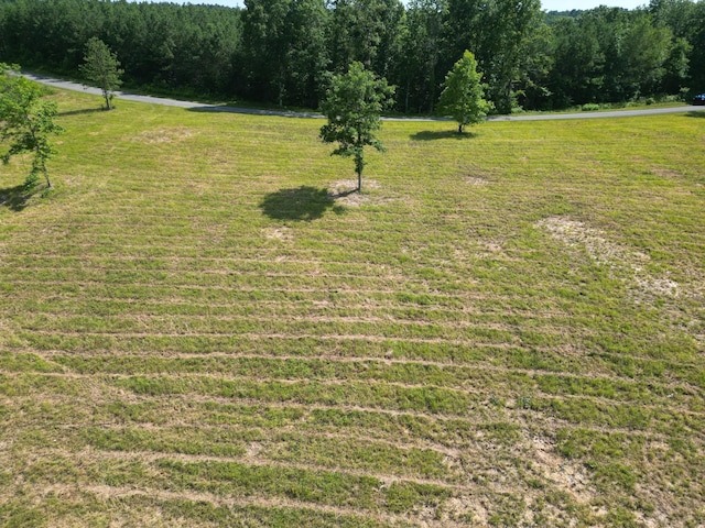 0 Old Penny Rd, Linden, TN 37096