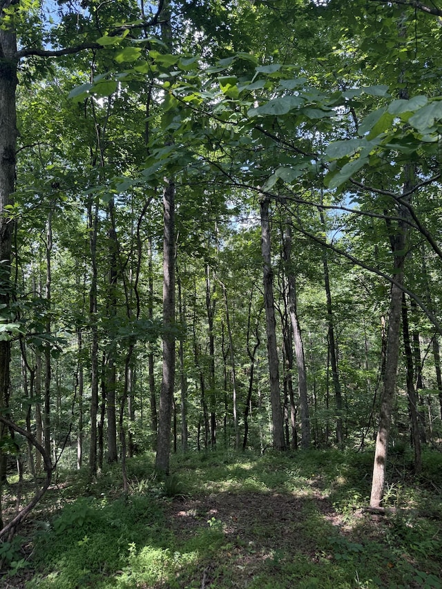 0 Old Penny Rd, Linden, TN 37096