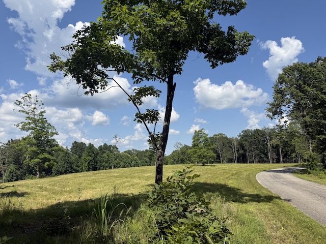 0 Old Penny Rd, Linden, TN 37096
