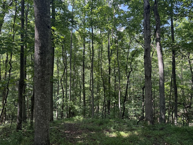0 Old Penny Rd, Linden, TN 37096