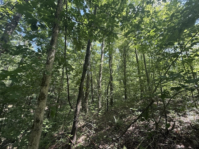 0 Old Penny Rd, Linden, TN 37096