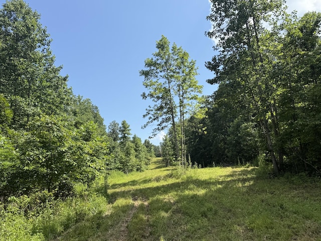 0 Old Penny Rd, Linden, TN 37096