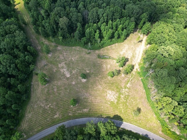 0 Old Penny Rd, Linden, TN 37096