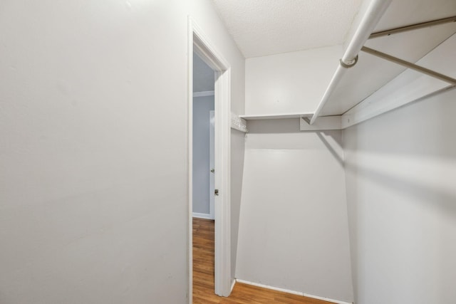 3171 Asbury Ln, Murfreesboro, TN 37129 - spacious closet with wood finished floors