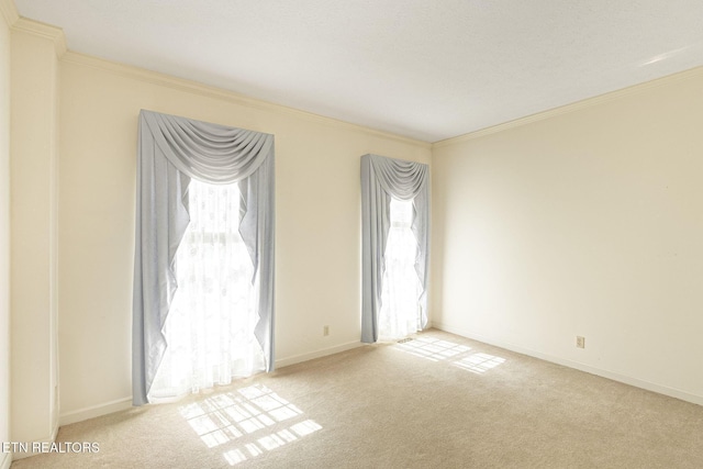 182 Whippoorwill Dr, Oak Ridge, TN 37830 - empty room with carpet floors and crown molding