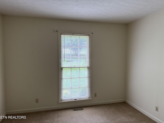 182 Whippoorwill Dr, Oak Ridge, TN 37830 - carpeted spare room with plenty of natural light and a textured ceiling