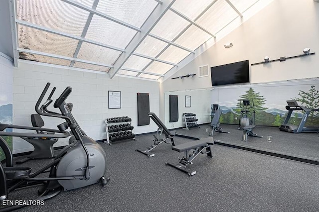 205 Ogle Dr Unit 554, Pigeon Forge, TN 37863 - gym with high vaulted ceiling