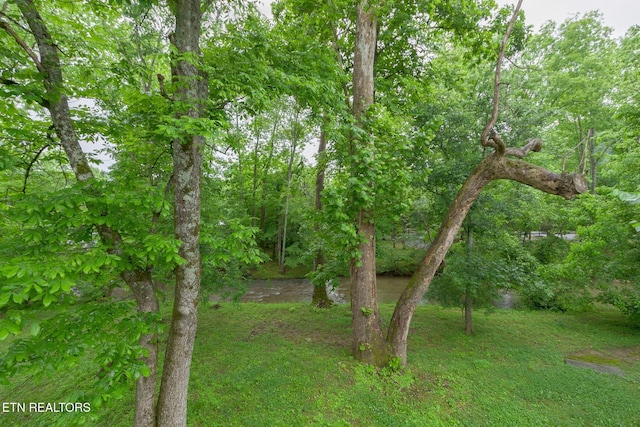 2032 Slippery Rock Cir, Sevierville, TN 37862 - view of green lawn