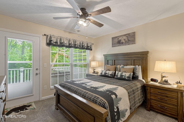 2032 Slippery Rock Cir, Sevierville, TN 37862 - bedroom with access to outside, carpet, a ceiling fan, and a textured ceiling