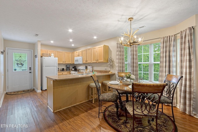 2032 Slippery Rock Cir, Sevierville, TN 37862 - kitchen featuring white appliances, light brown cabinets, a peninsula, dark wood-style flooring, and a textured ceiling