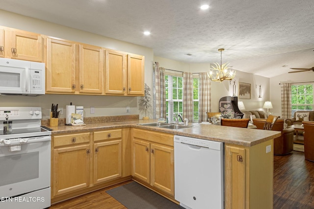 2032 Slippery Rock Cir, Sevierville, TN 37862 - kitchen with white appliances, a peninsula, open floor plan, dark wood-style floors, and light brown cabinetry
