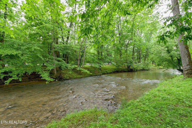 2032 Slippery Rock Cir, Sevierville, TN 37862 - water view