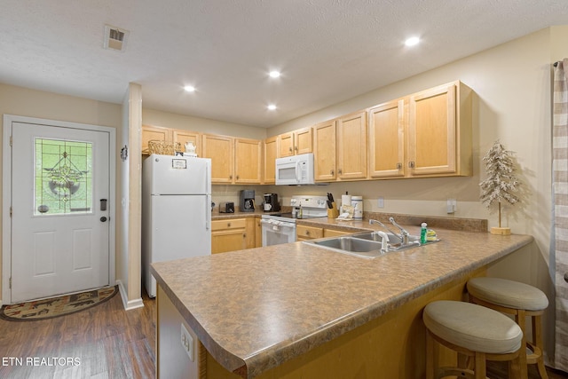 2032 Slippery Rock Cir, Sevierville, TN 37862 - kitchen featuring white appliances, dark wood-style floors, light brown cabinetry, a peninsula, and a kitchen breakfast bar