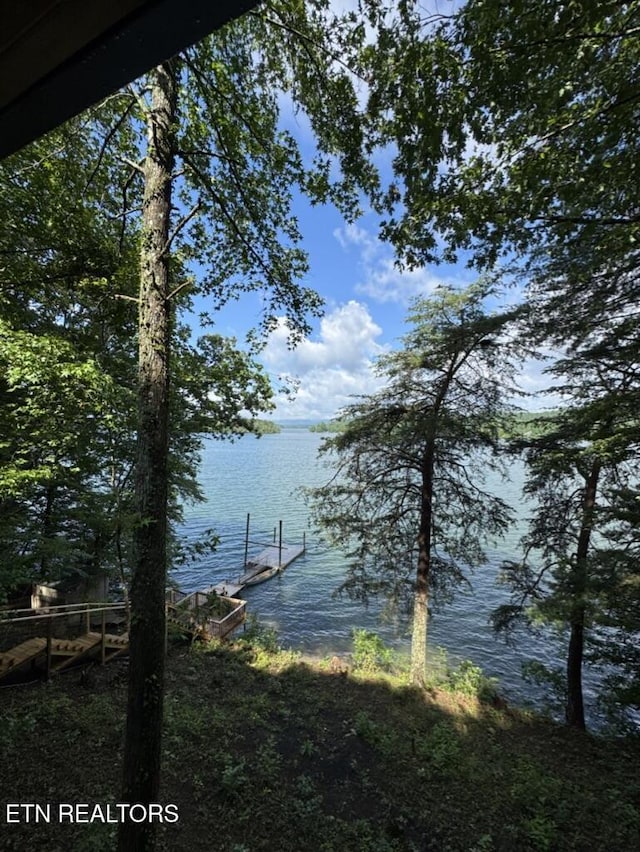 1226 Buzzard Roost Rd, Spring City, TN 37381 - water view with a boat dock