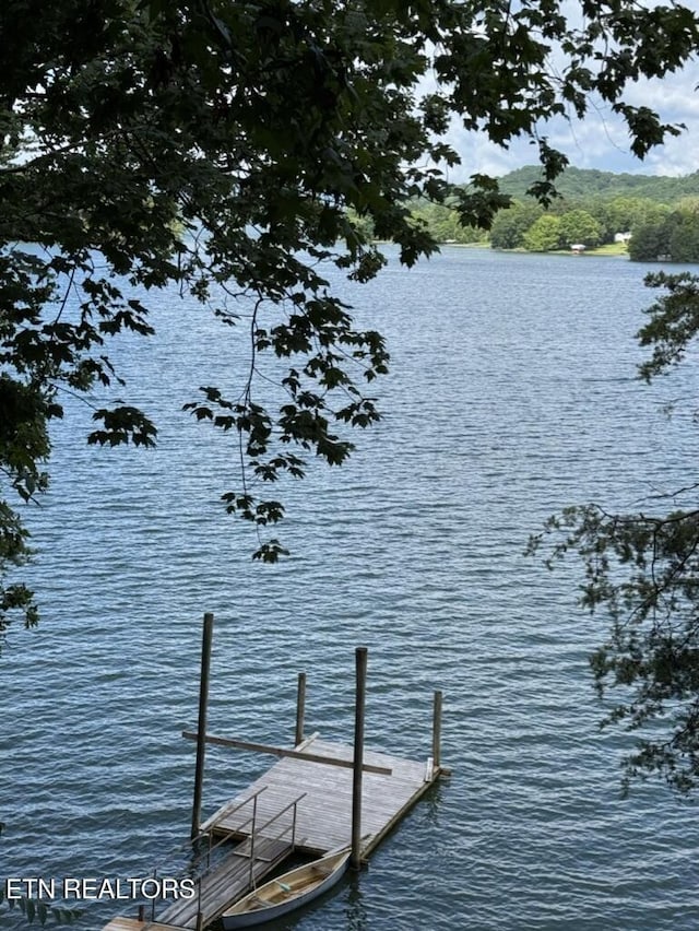 1226 Buzzard Roost Rd, Spring City, TN 37381 - dock with a water view