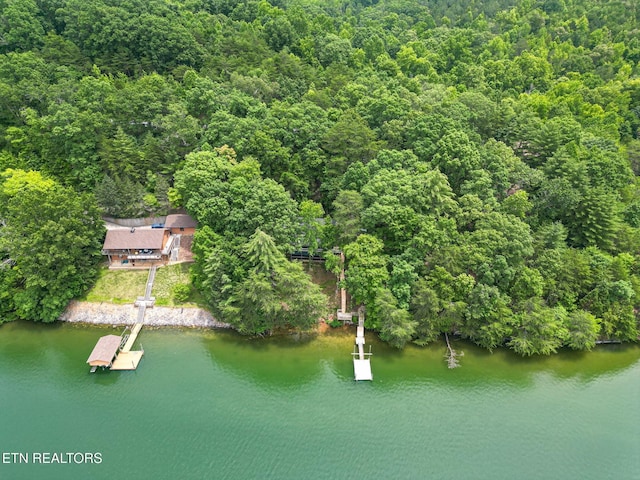 1226 Buzzard Roost Rd, Spring City, TN 37381 - aerial view of property's location with a nearby body of water