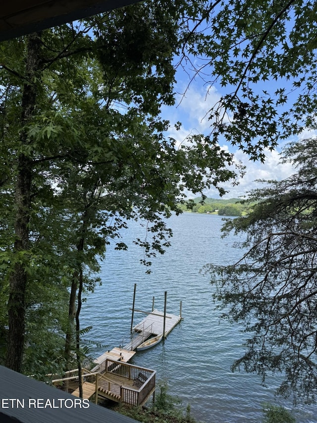 1226 Buzzard Roost Rd, Spring City, TN 37381 - dock area featuring a water view