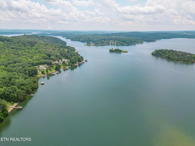 1226 Buzzard Roost Rd, Spring City, TN 37381 - bird's eye view of a nearby body of water and a forest