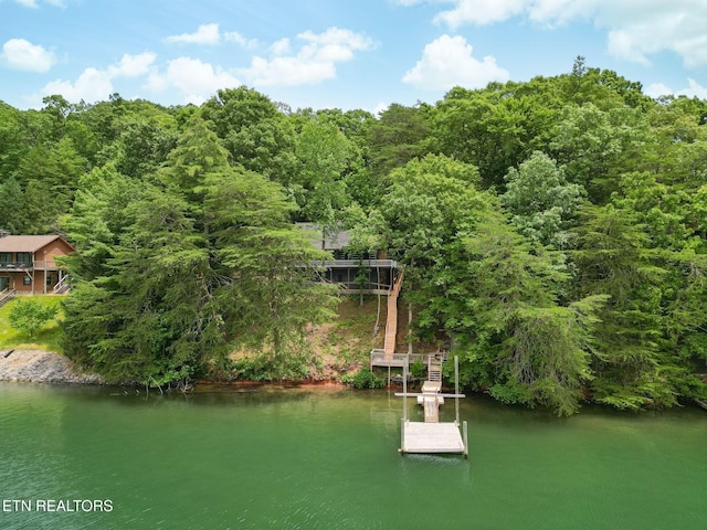 1226 Buzzard Roost Rd, Spring City, TN 37381 - dock featuring a water view and a forest view