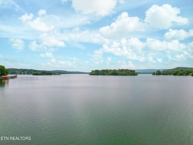 1226 Buzzard Roost Rd, Spring City, TN 37381 - water view