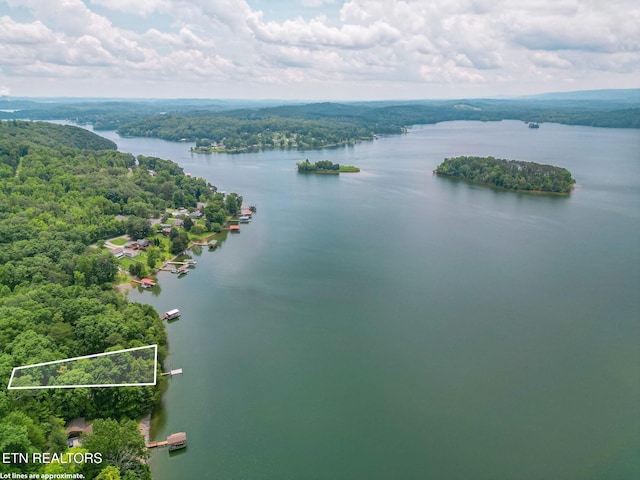 1226 Buzzard Roost Rd, Spring City, TN 37381 - aerial view of property and surrounding area with a nearby body of water and property boundaries highlighted