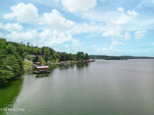1226 Buzzard Roost Rd, Spring City, TN 37381 - water view with a dock and a heavily wooded area