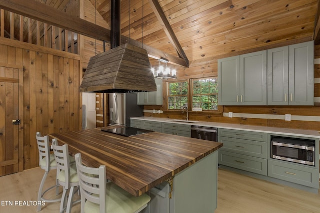 1226 Buzzard Roost Rd, Spring City, TN 37381 - kitchen featuring butcher block countertops, green cabinets, appliances with stainless steel finishes, light wood-style floors, and wood walls