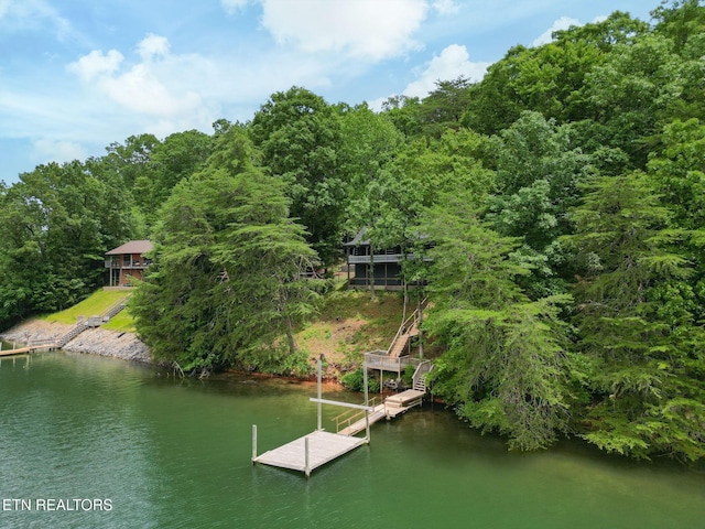 1226 Buzzard Roost Rd, Spring City, TN 37381 - dock area with a water view, stairs, and a forest view