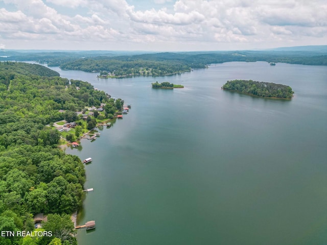 1226 Buzzard Roost Rd, Spring City, TN 37381 - bird's eye view of a nearby body of water