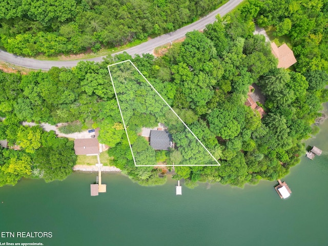 1226 Buzzard Roost Rd, Spring City, TN 37381 - aerial view of property and surrounding area with property boundaries highlighted and a large body of water