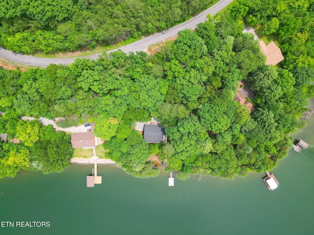 1226 Buzzard Roost Rd, Spring City, TN 37381 - bird's eye view of a nearby body of water
