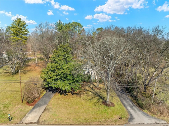 1302 Hampshire Pike, Columbia, TN 38401 - bird's eye view