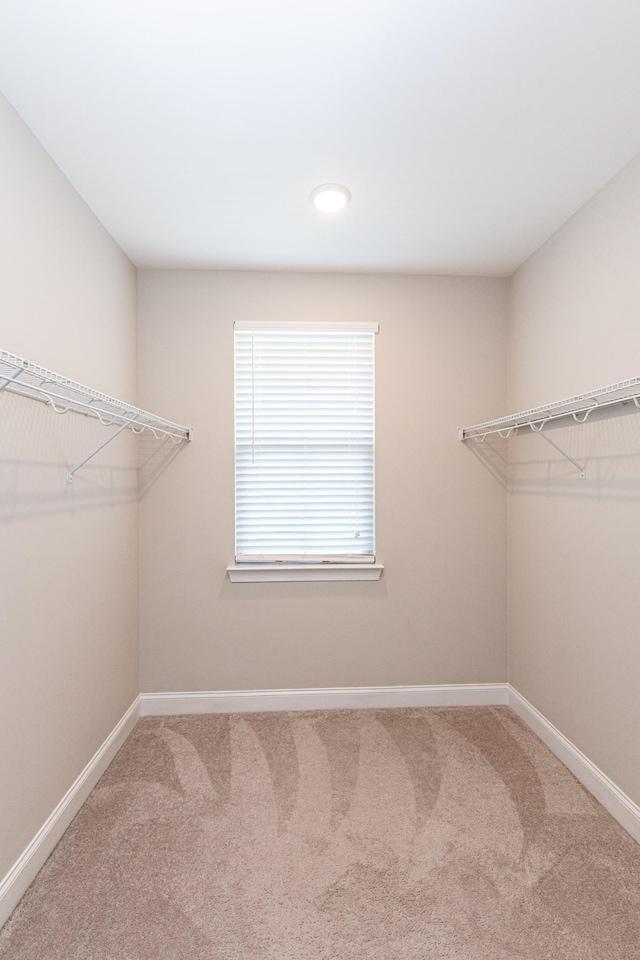 145 Ashcrest Pt, Hendersonville, TN 37075 - photo 10